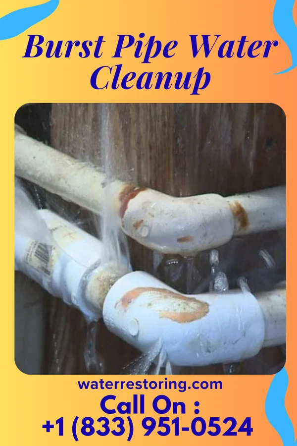 Burst Pipe Water Cleanup in Hoffman, MN